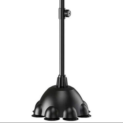 Standing Punching Ball